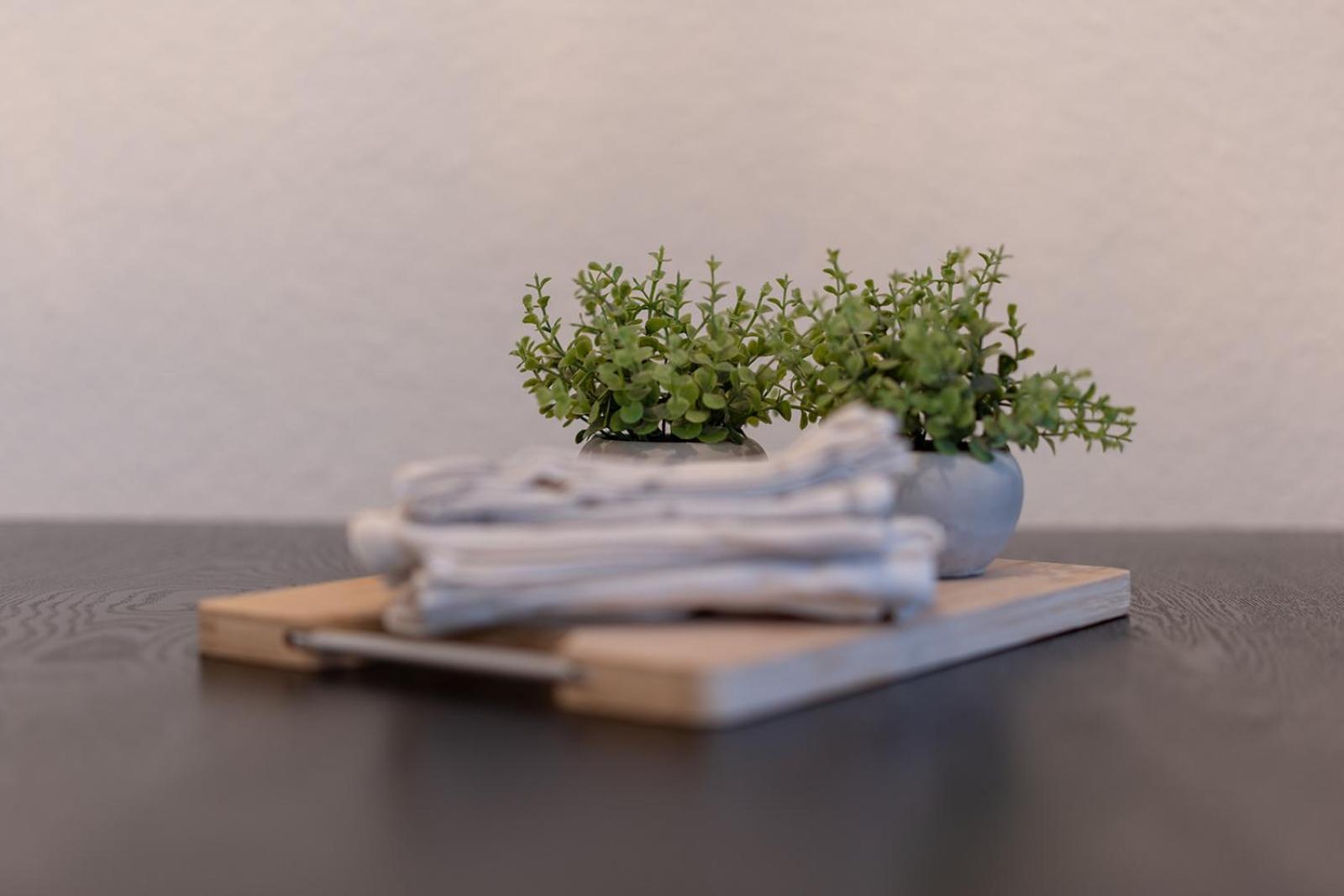 Apartmenthaus Meißen المظهر الخارجي الصورة